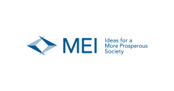 MEI logo cropped